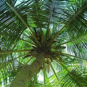 Meet your Posher, Robynne